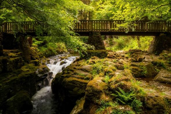 Tollymore Forest Natural Park Northern Ireland